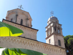 Законоправило Светог Саве