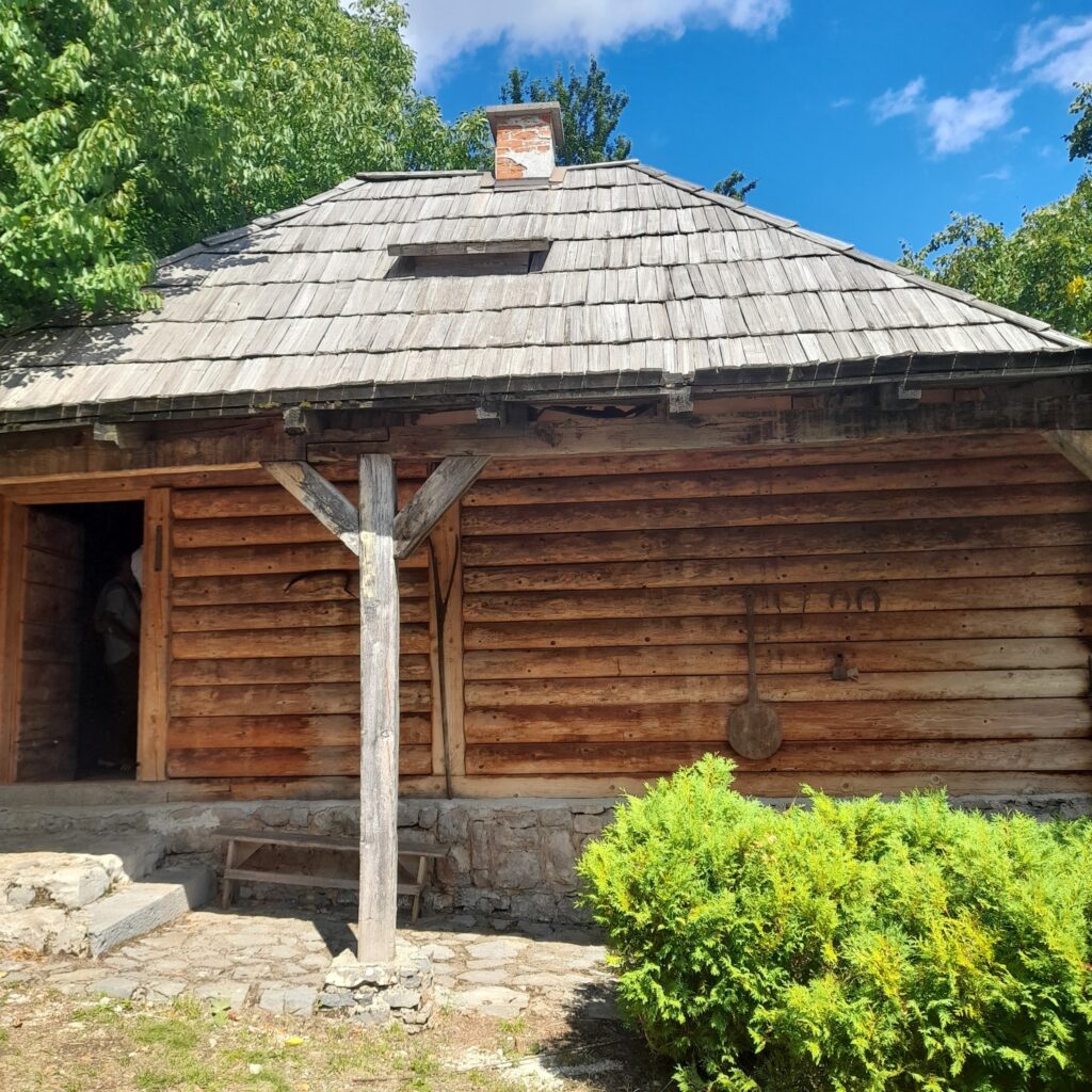 rodna-kuca-gavrila-principa-03