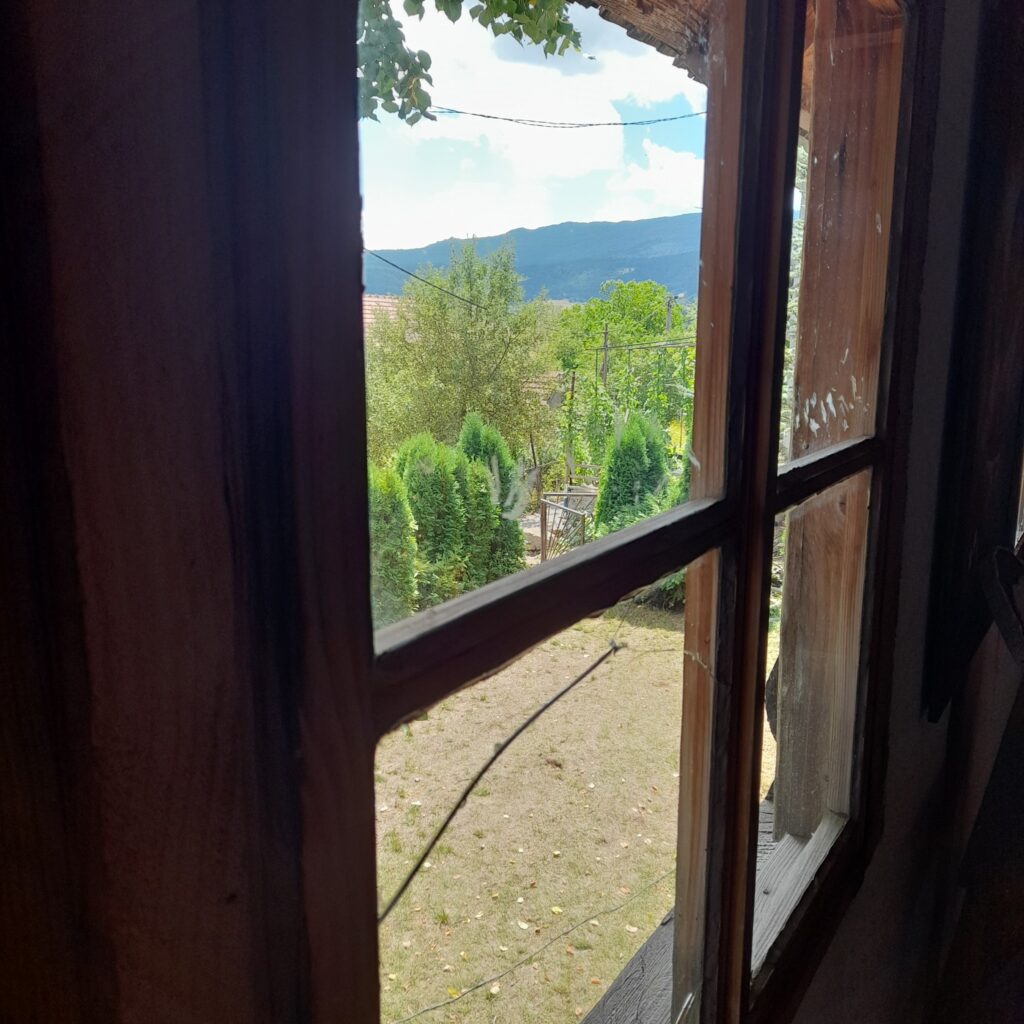 rodna-kuca-gavrila-principa-04