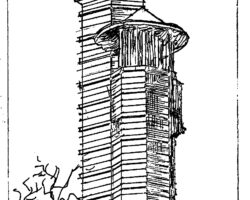 Истин полин