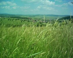 Бели папир – промене у Србији