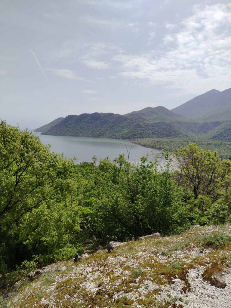 sv-jovana-bogoslova-07